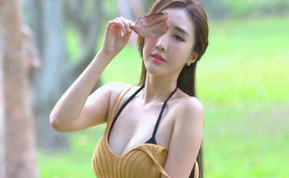 万能小偷站群版