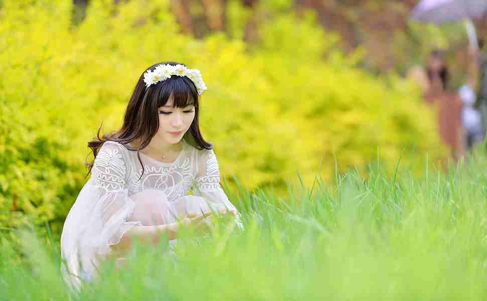 站群需要多少站点