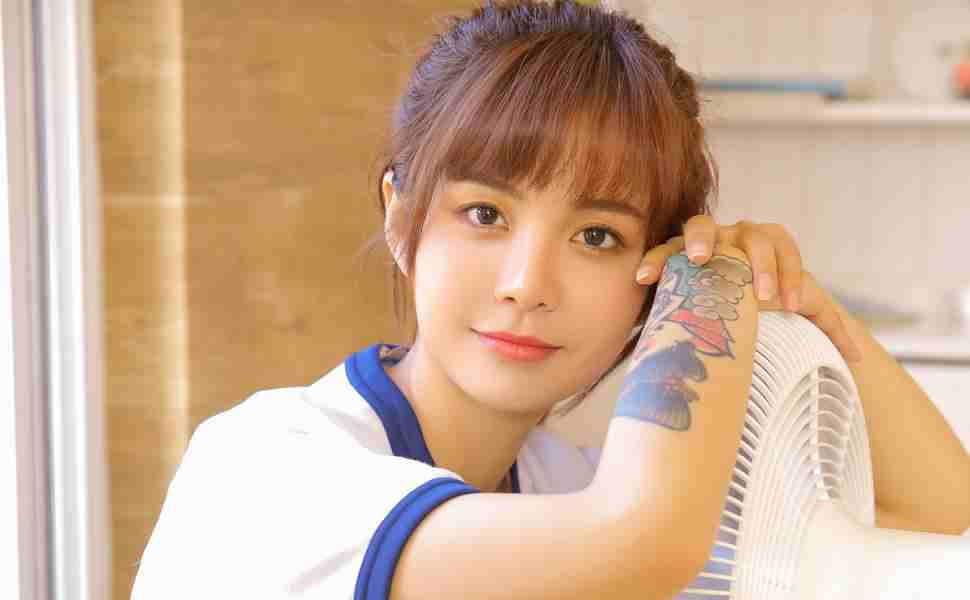 站群一般是什么系统